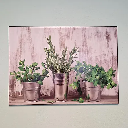 Veludo Centrum Free Parking * Banská Bystrica